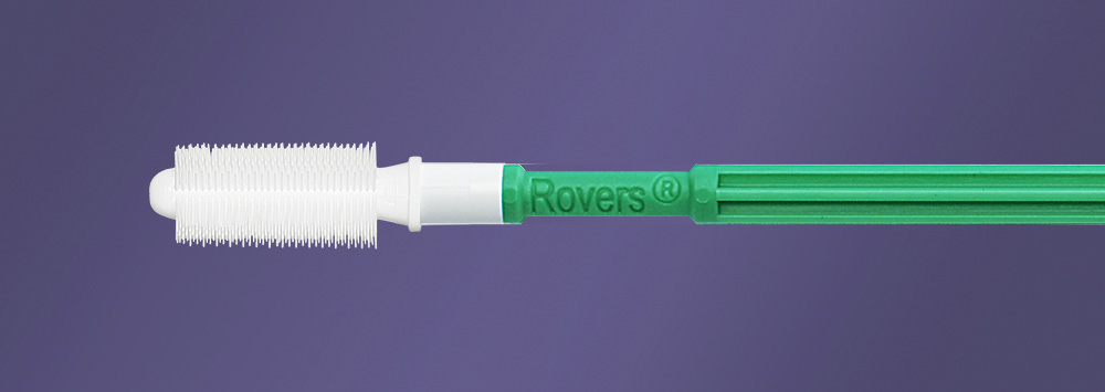 Rovers® Anex® Sterilas birstītes sterile 100 gab